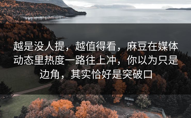 越是没人提，越值得看，麻豆在媒体动态里热度一路往上冲，你以为只是边角，其实恰好是突破口  第1张