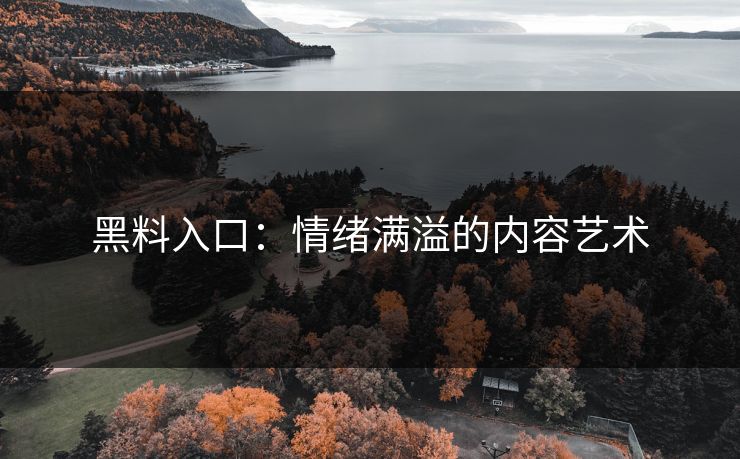 黑料入口：情绪满溢的内容艺术  第1张