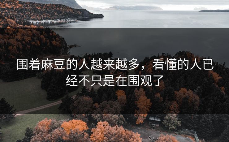 围着麻豆的人越来越多，看懂的人已经不只是在围观了  第1张